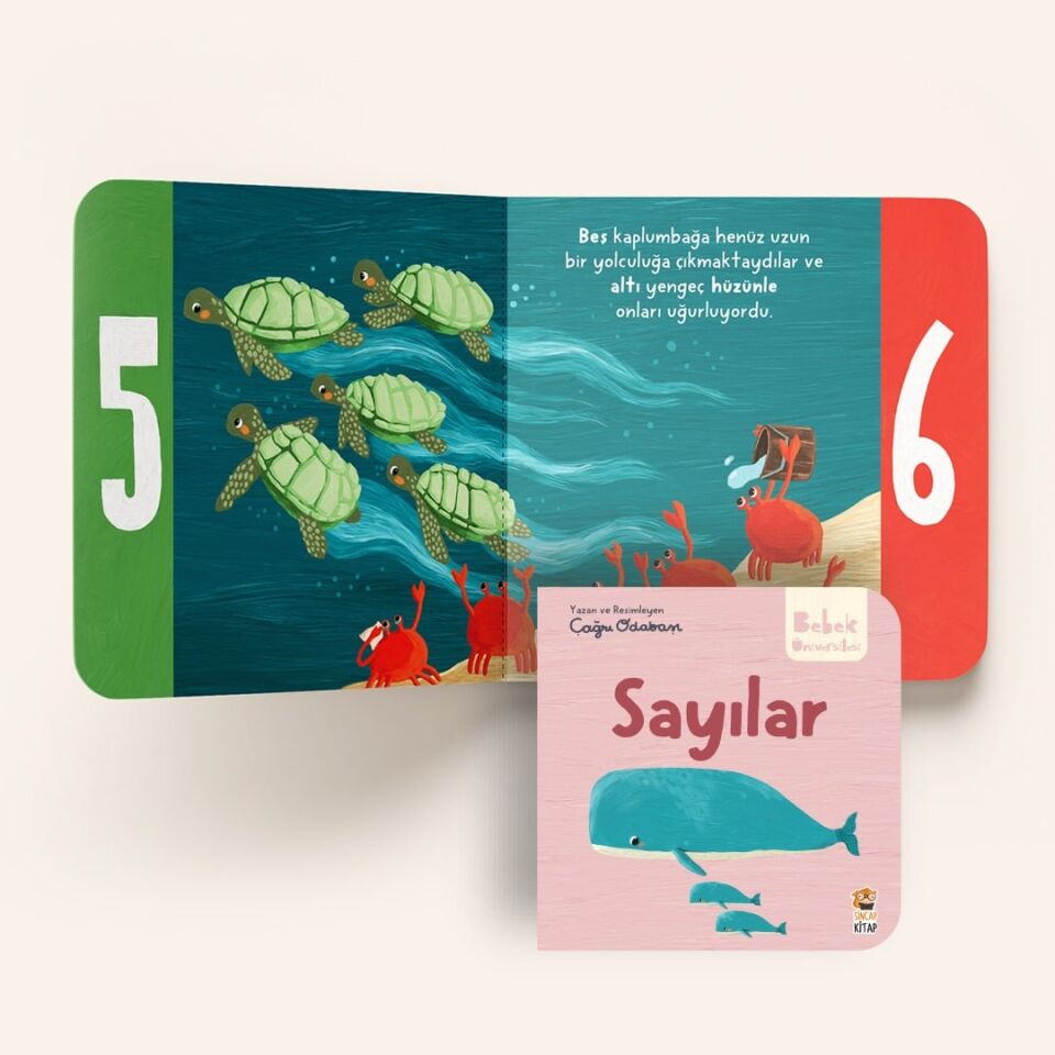 Bebek Üniversitesi Set 2- 4 Kitap Çağrı Odabaşı