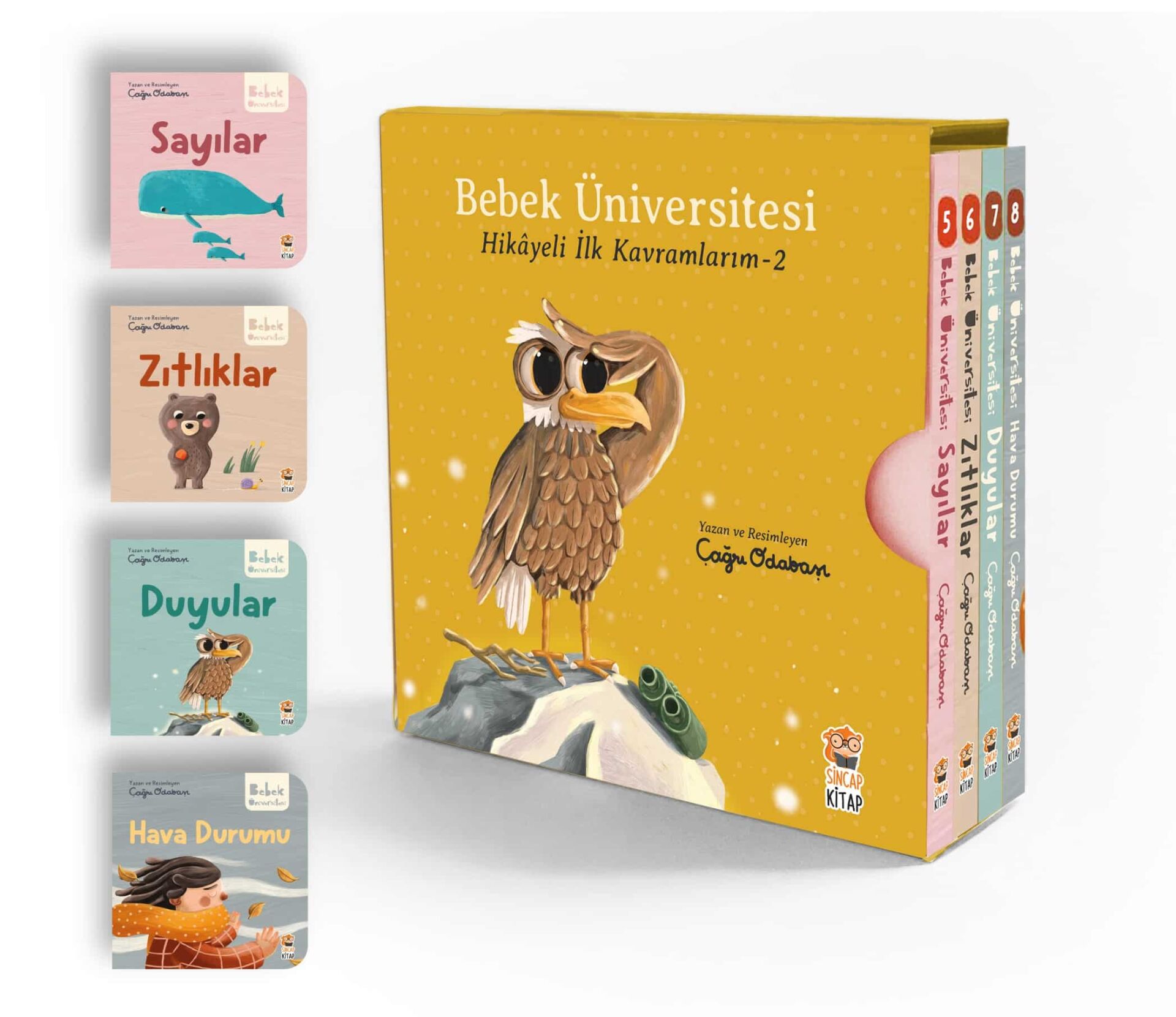 Bebek Üniversitesi Set 2- 4 Kitap Çağrı Odabaşı