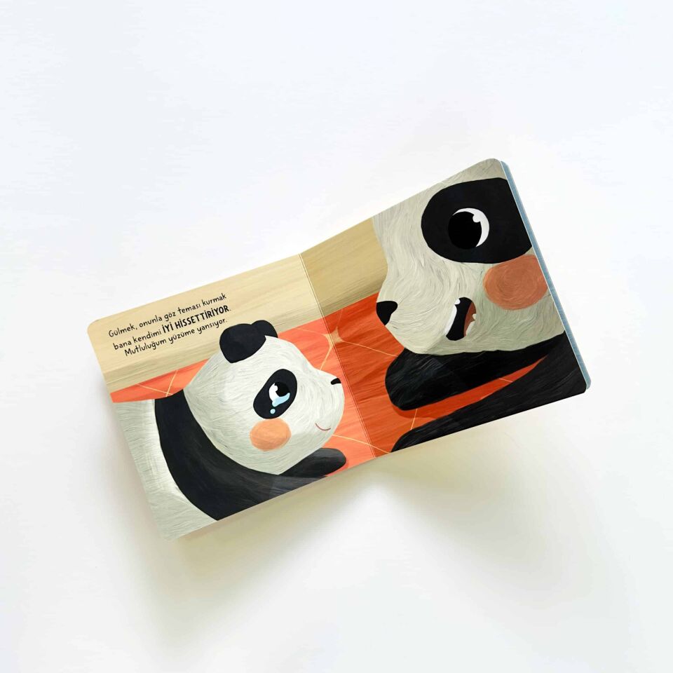 Bebek Üniversitesi 3 / Hikayeli İlk Kavramlarım Set (4 Kitap) Çağrı Odabaşı