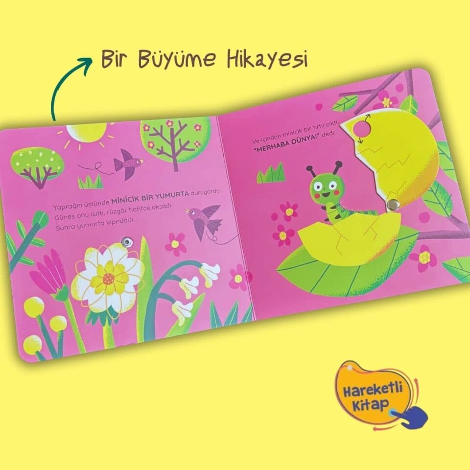 Artık Hazırım-Kelebek Olmaya (Hareketli Kitap)