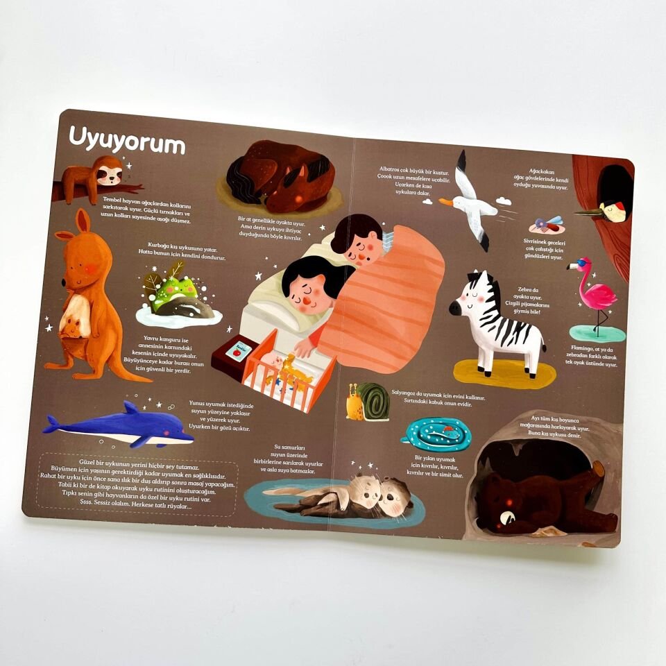 Genel Kültür Kitabım – Büyüyorum Çağrı Odabaşı