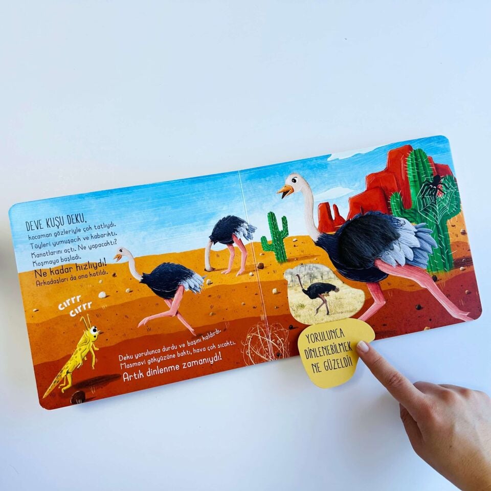 İlk Dokun Hisset Kitabım Çöle Dokun Melek Dinçer