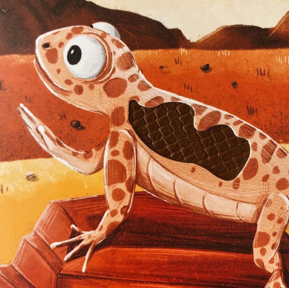 İlk Dokun Hisset Kitabım Çöle Dokun Melek Dinçer