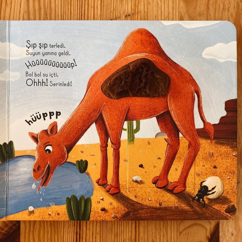 İlk Dokun Hisset Kitabım Çöle Dokun Melek Dinçer