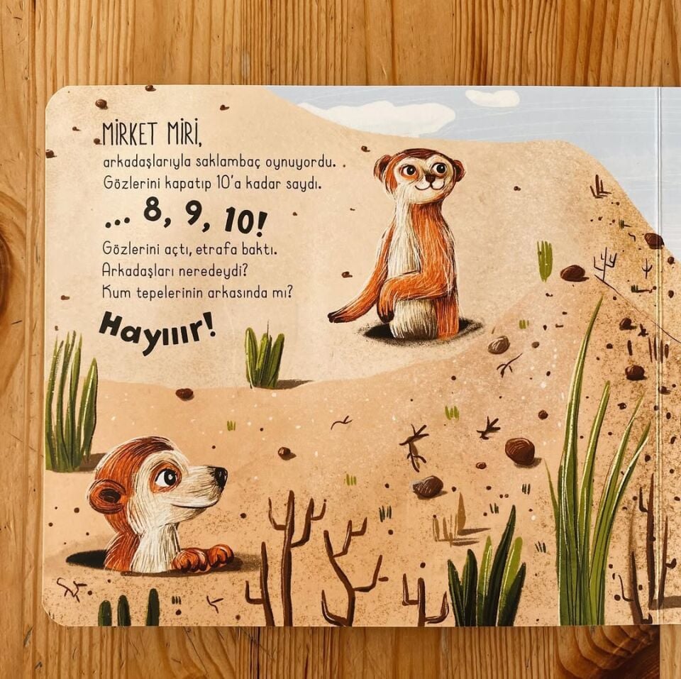 İlk Dokun Hisset Kitabım Çöle Dokun Melek Dinçer