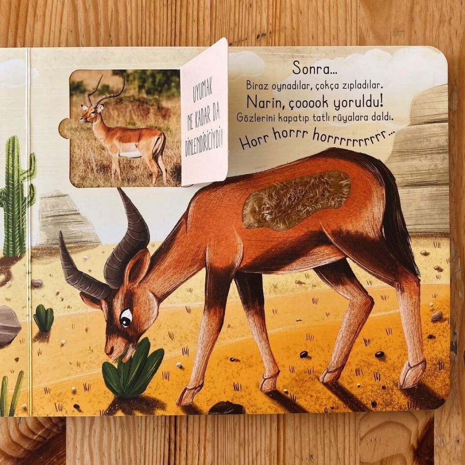 İlk Dokun Hisset Kitabım Çöle Dokun Melek Dinçer