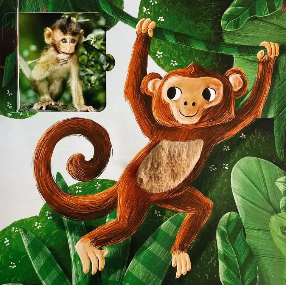 İlk Dokun Hisset Kitabım Çiftliğe Dokun Melek Dinçer