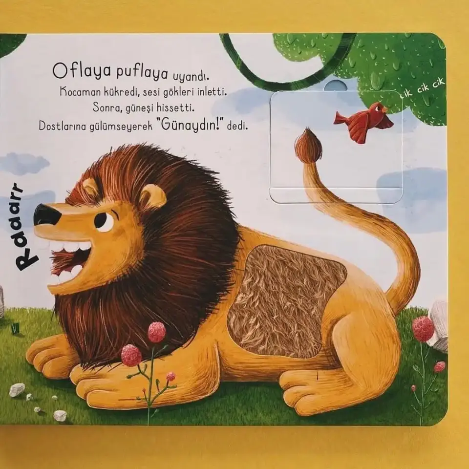 İlk Dokun Hisset Kitabım Ormana Dokun Melek Dinçer