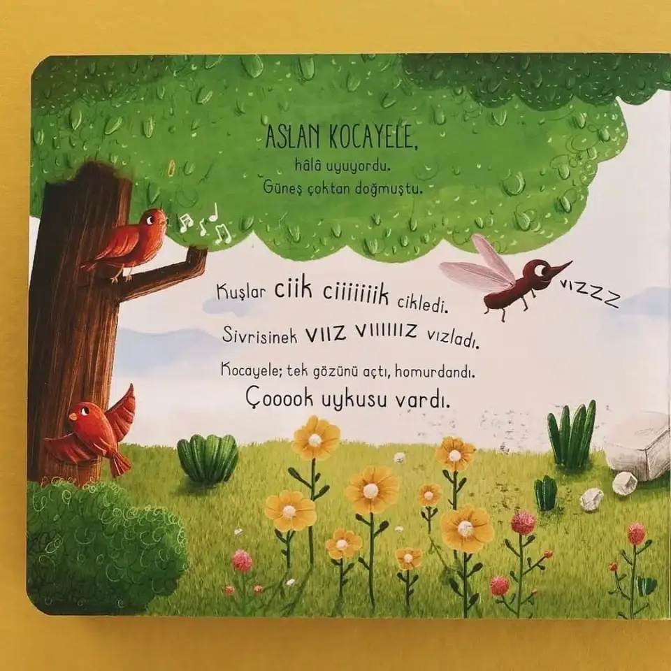 İlk Dokun Hisset Kitabım Ormana Dokun Melek Dinçer