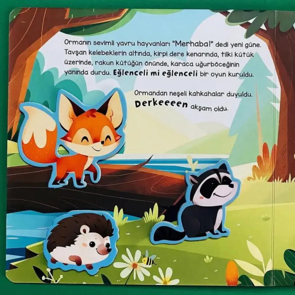 Merhaba Orman Asiye Aslı Aslaner