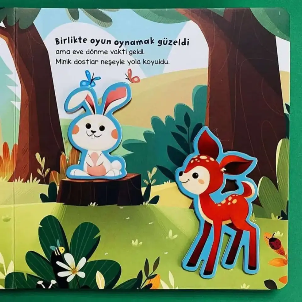 Merhaba Orman Asiye Aslı Aslaner