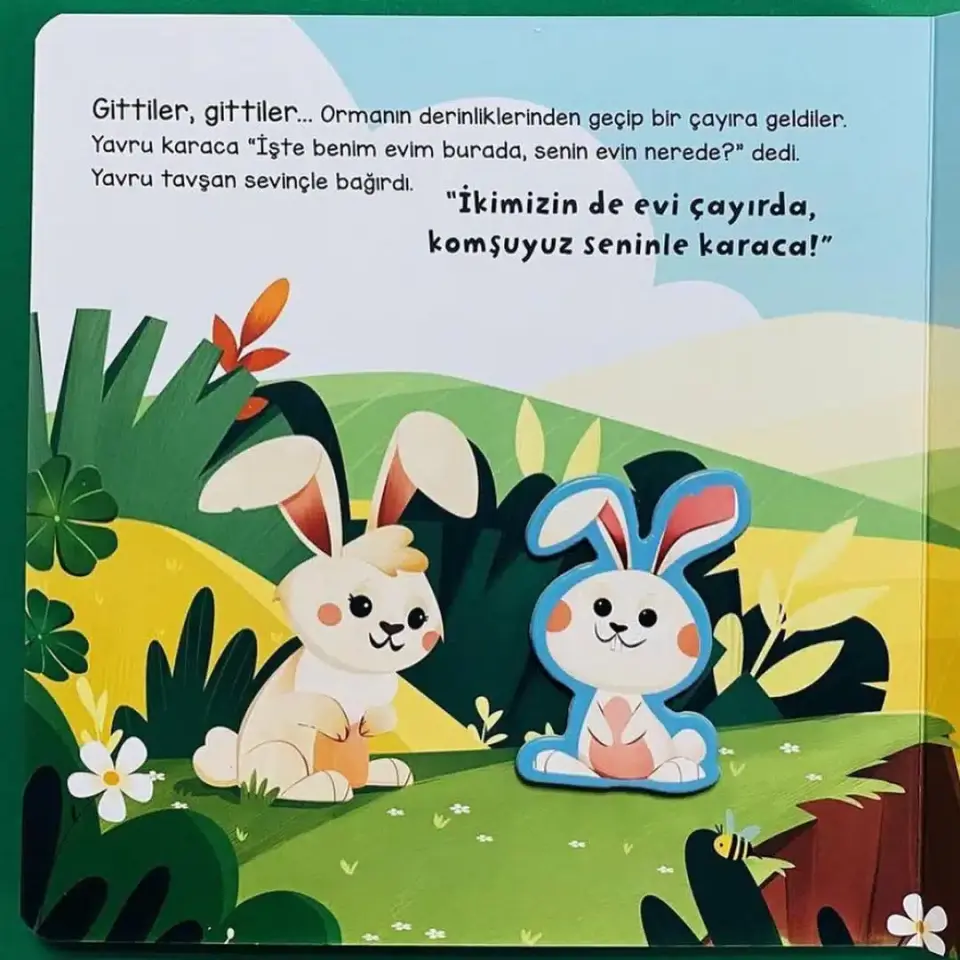 Merhaba Orman Asiye Aslı Aslaner