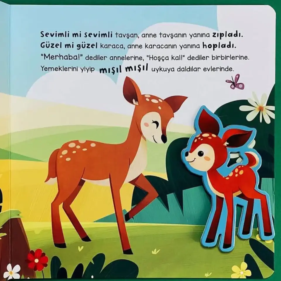 Merhaba Orman Asiye Aslı Aslaner