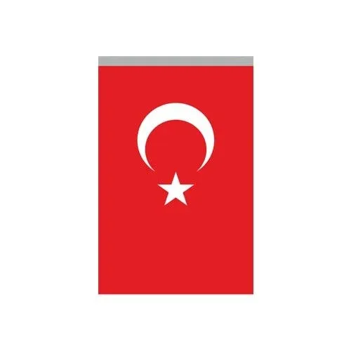 Türk Bayrağı (20X30)